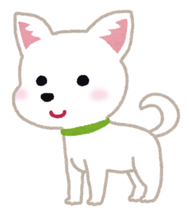 チワワのイラスト