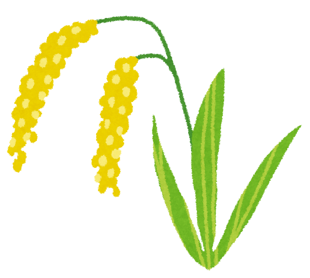 稲穂のイラスト