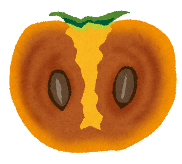 柿の断面のイラスト