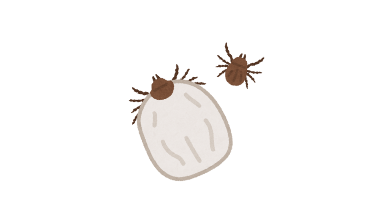 マダニのイラスト