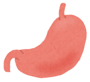 胃のイラスト
