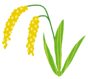 稲・稲穂のイラスト