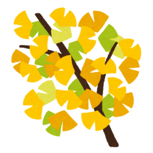 イチョウの枝のイラスト
