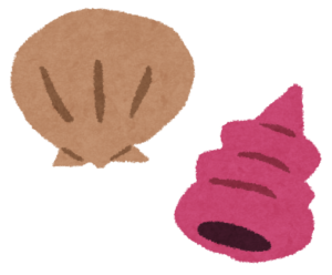 貝殻のイラスト