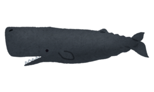 マッコウクジラのイラスト
