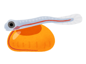 孵化したばかりの鮭の稚魚のイラスト