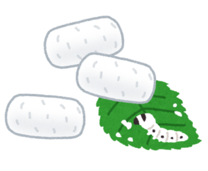 カイコの繭
