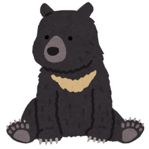 黒い体毛のツキノワグマ