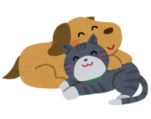 寄り添う犬と猫