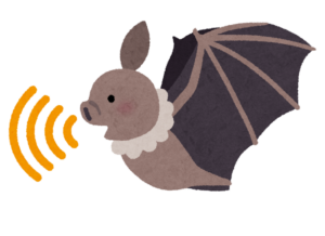 超音波を出すコウモリのイラスト