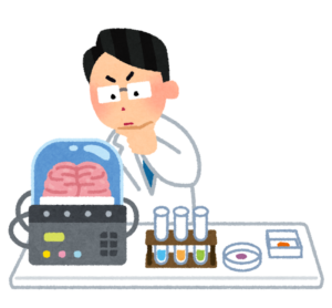 脳のはたらきを調べる研究者