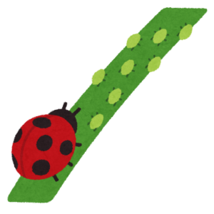 アブラムシのいる葉を登るてんとう虫のイラスト