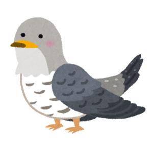 カッコウのイラスト