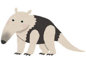 コアリクイのイラスト