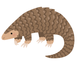 センザンコウのイラスト