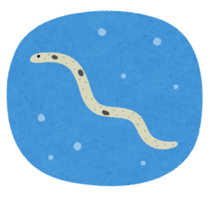 水の中を泳ぐチンアナゴの全身のイラスト
