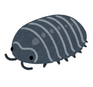 ダンゴムシのイラスト
