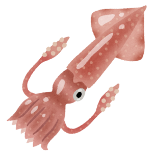 イカのイラスト