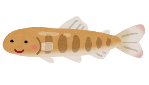 サケの稚魚のイラスト