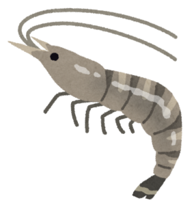 エビのイラスト