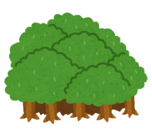 木がまとまって生えている森のイラスト