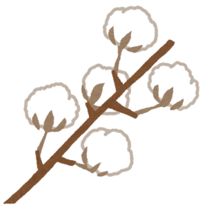 枝についた綿花のイラスト