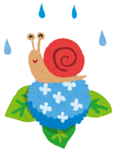 雨の中のアジサイとカタツムリのイラスト