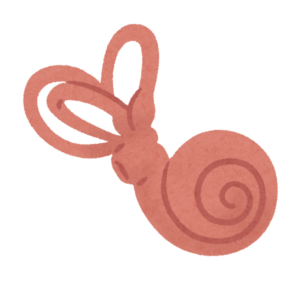 渦巻き状の蝸牛と三半規管からなる内耳のイラスト