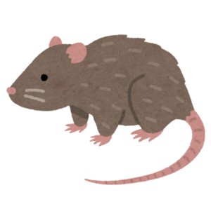 ドブネズミのイラスト