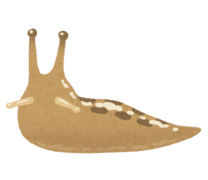 ナメクジのイラスト