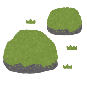 コケむした石のイラスト