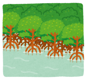 水辺に根を張るマングローブの林のイラスト