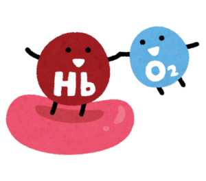 ヘモグロビンと酸素が手をつなぐイラスト
