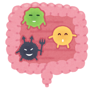 腸の中にいる細菌のイラスト