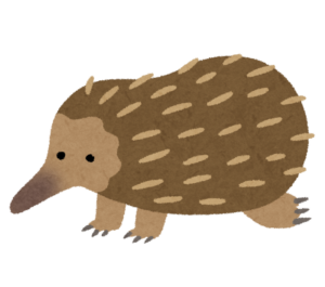 とげに覆われたハリモグラのイラスト