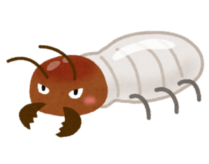 シロアリのイラスト
