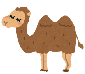 フタコブラクダのイラスト