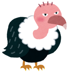 翼をたたんで立つハゲワシのイラスト