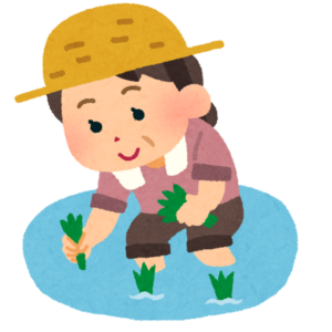 田んぼで苗を植える女性のイラスト