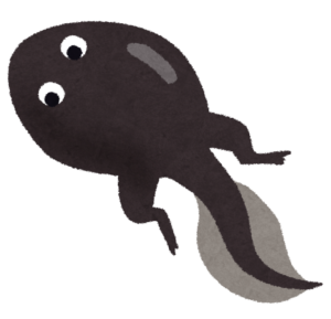 後ろ足が生えたオタマジャクシのイラスト