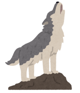 岩の上で遠吠えするオオカミのイラスト