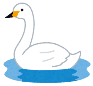 水に浮かぶ白鳥