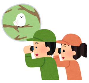 双眼鏡で白い鳥を観察する二人のイラスト