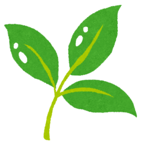 緑の若葉のイラスト