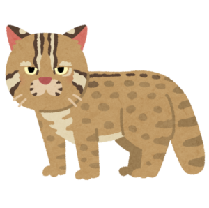 ヤマネコのイラスト