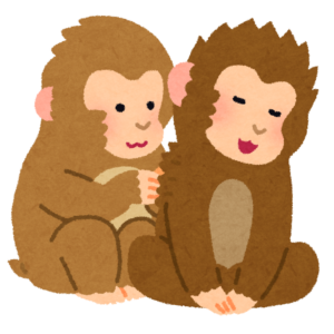 毛づくろいをする2匹のサルのイラスト