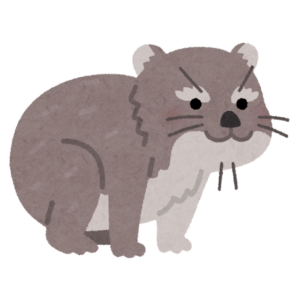イワハイラックスのイラスト