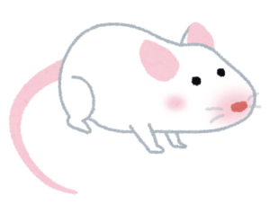 白いマウスのイラスト